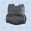 Forged Steel Check Valve 