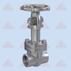 Forged Steel Gate Valve